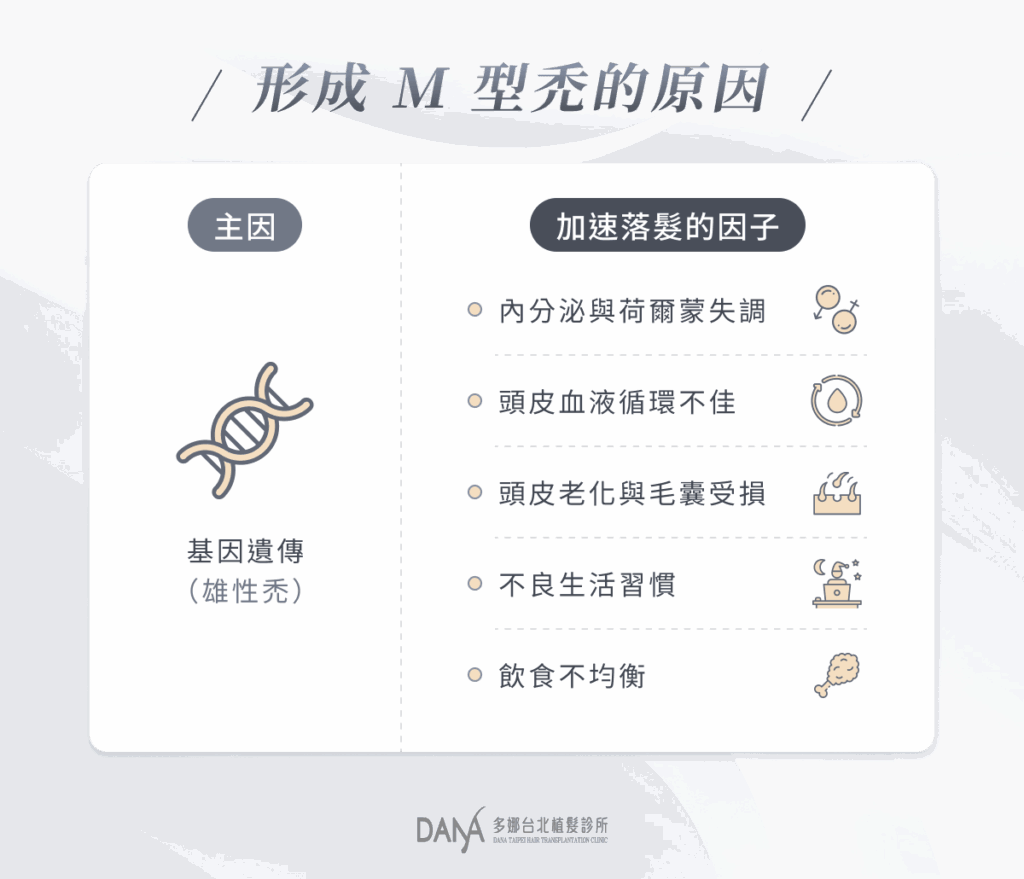 形成 M 型禿的原因